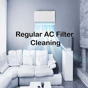 Regular AC Filter Cleaning