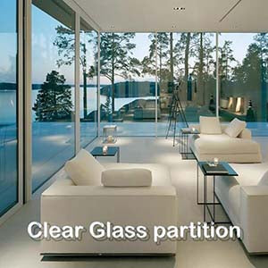 Clear Glass Partition